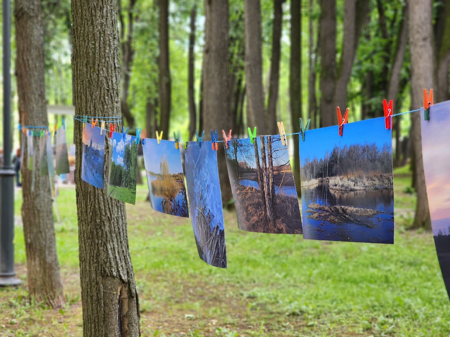 воскресенск, день россии, день города, фотовыставка,