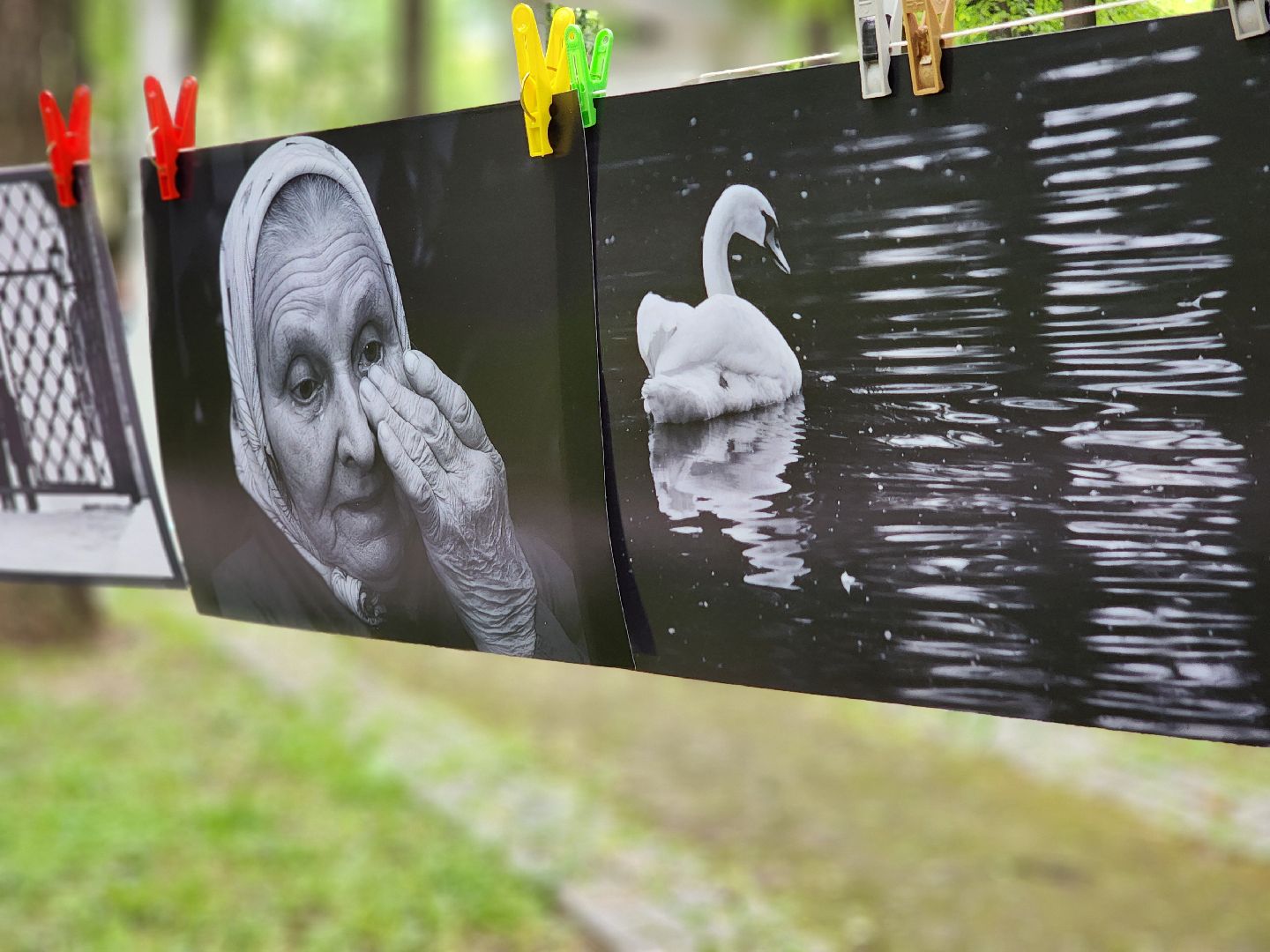 воскресенск, день россии, день города, фотовыставка,