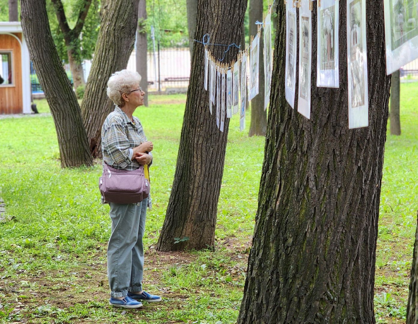 воскресенск, день россии, день города, фотовыставка,