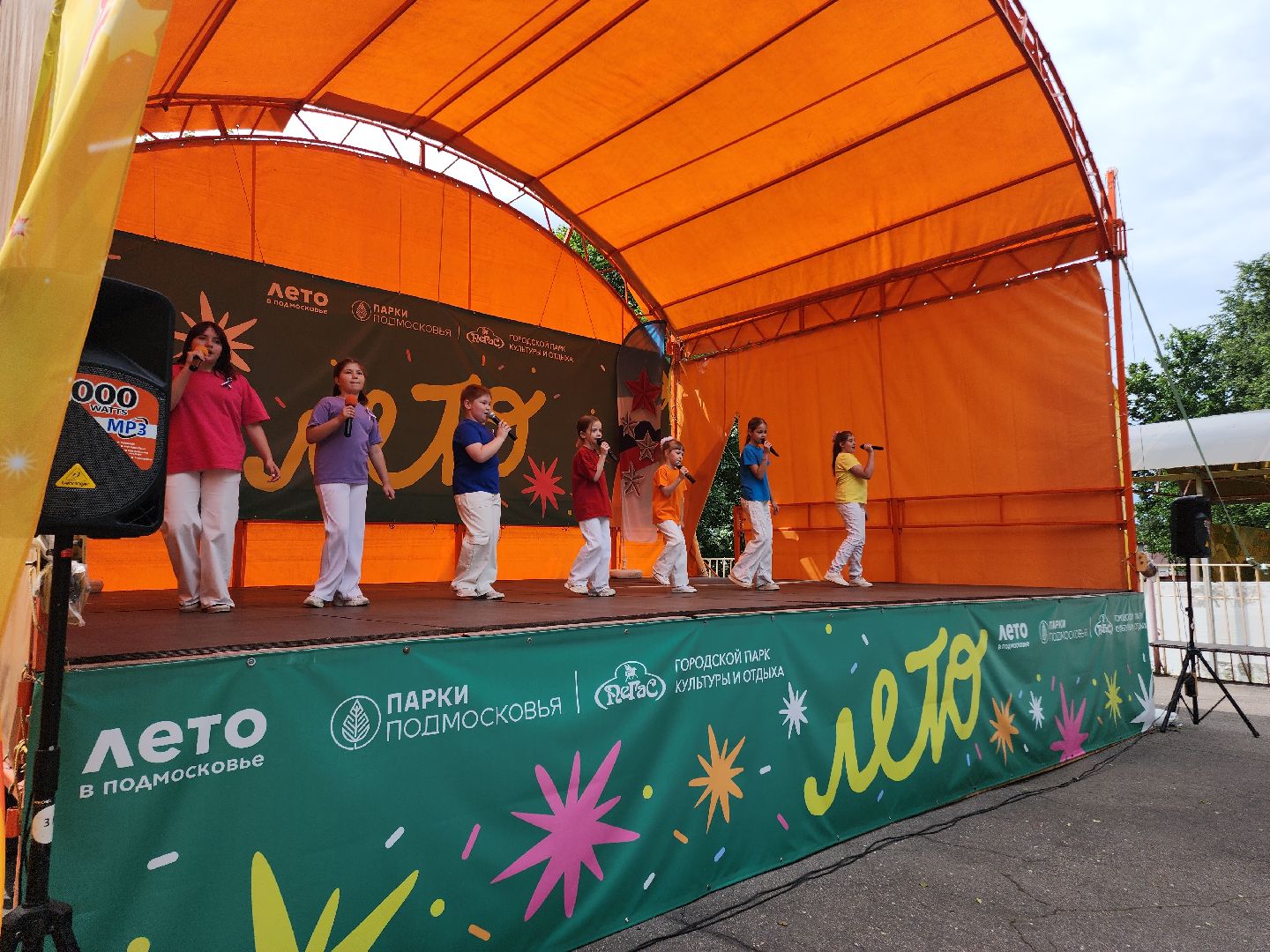 Егорьевск , Подмосковье , Московская область ,