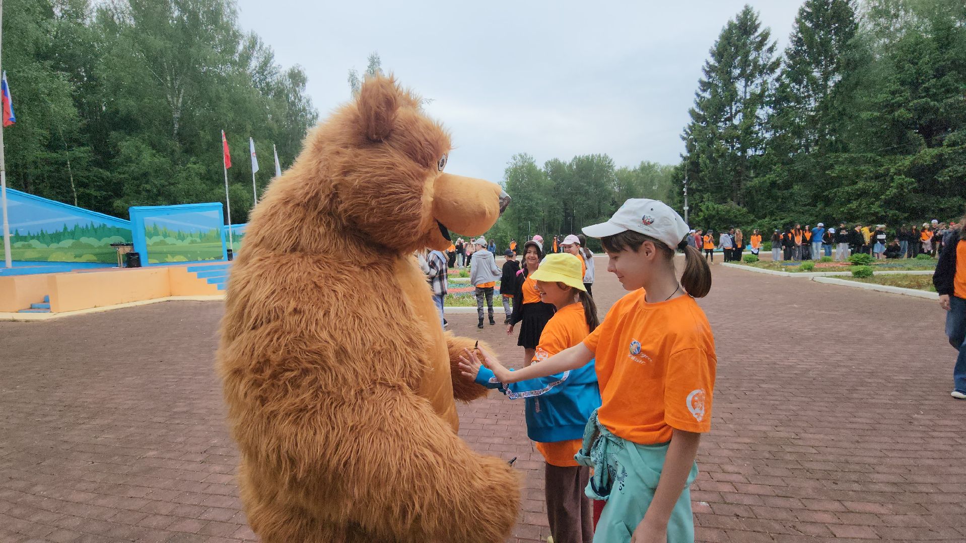 волоколамск, медведь, день россии,