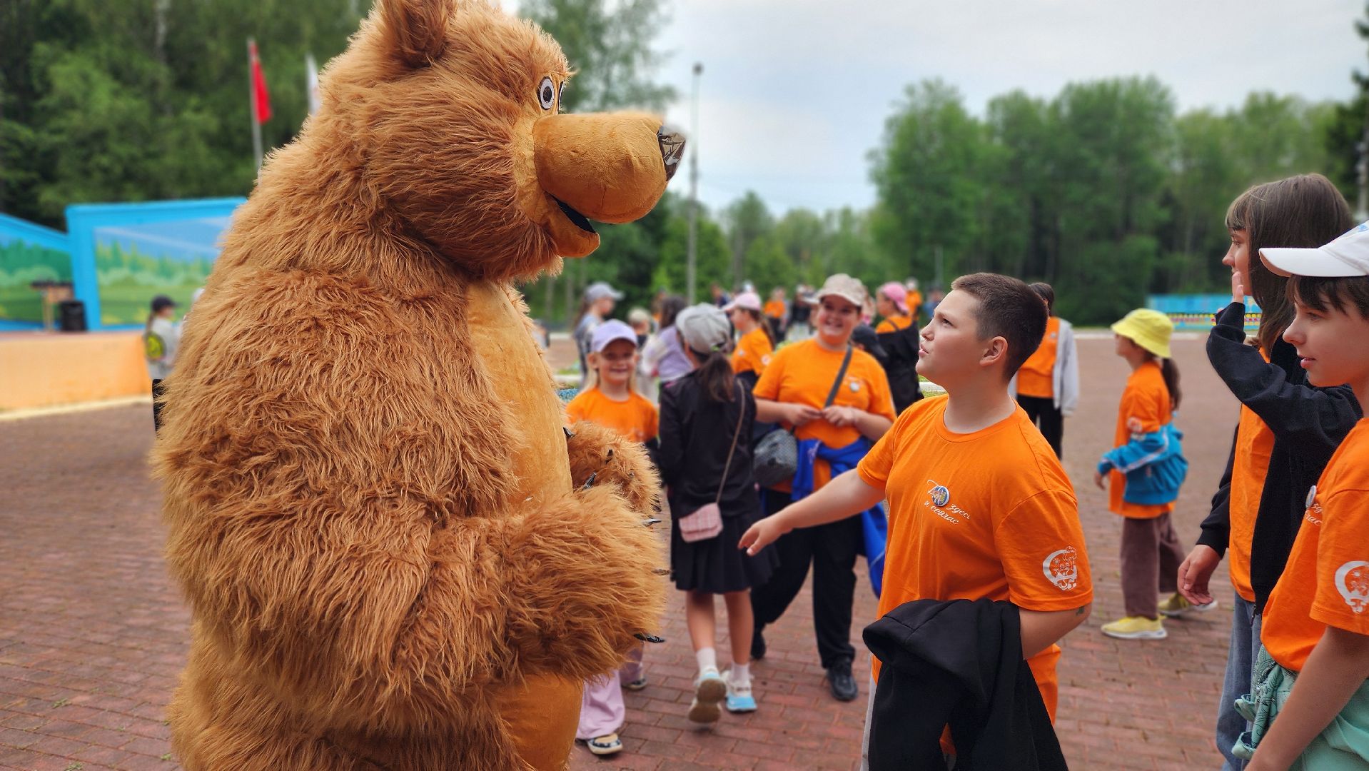 волоколамск, медведь, день россии,