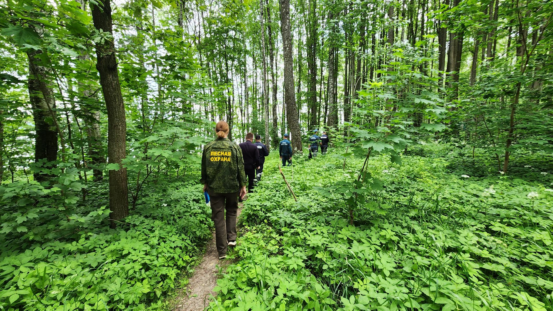 солнечногорск, никольский пляж, шашлыки, открытый огонь,