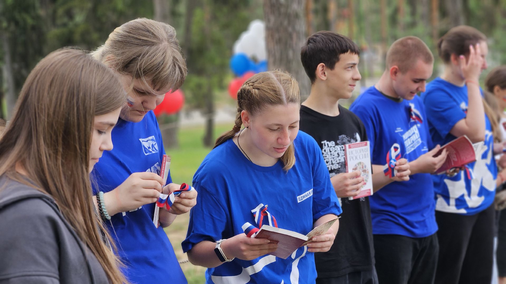 день россии, жуковский, парк,