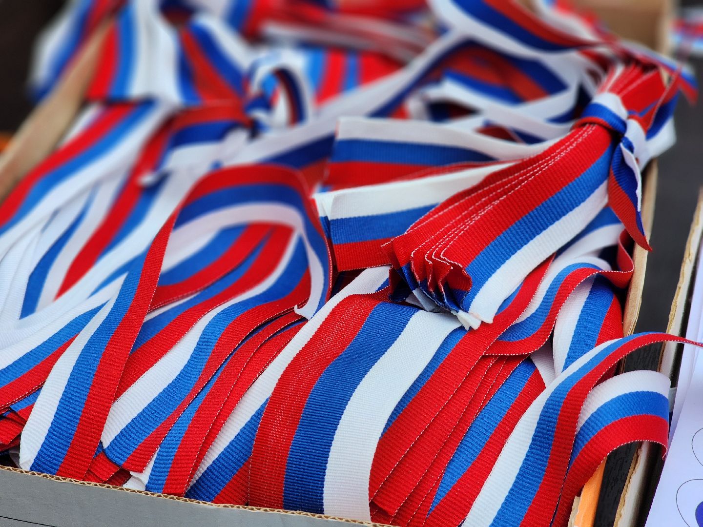 воскресенск, день россии, триколор, волонтеры,