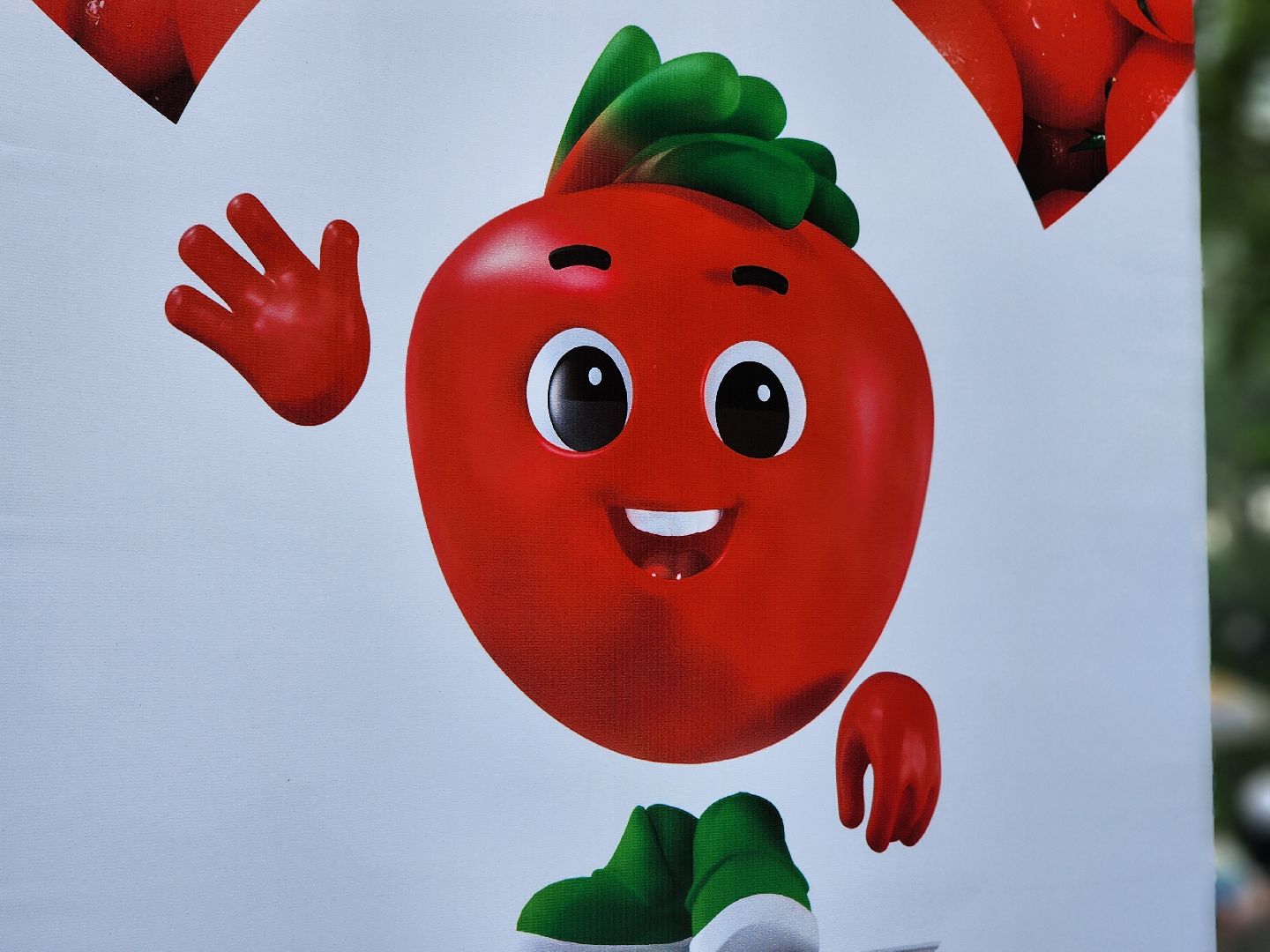 воскресенск, день россии, мастер класс,