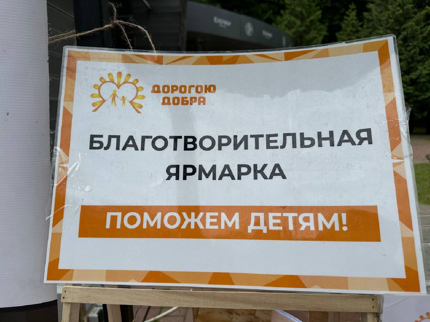 благотворительная акция,парки домодедово, день россии,