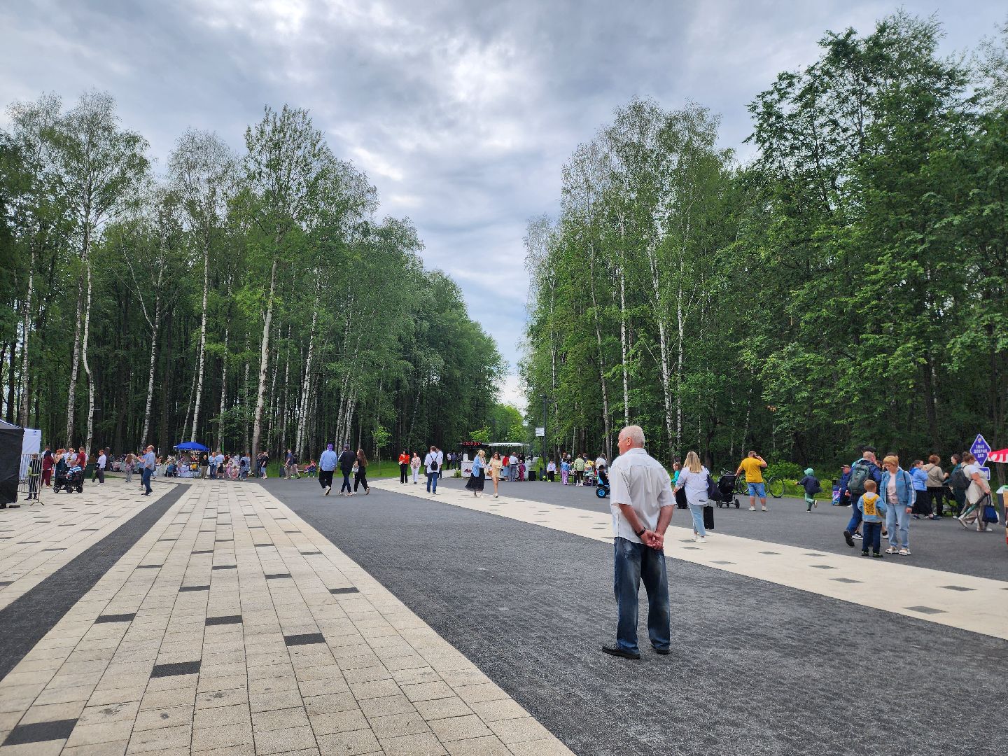 электросталь, день россии, праздник, парк, жители, общество,