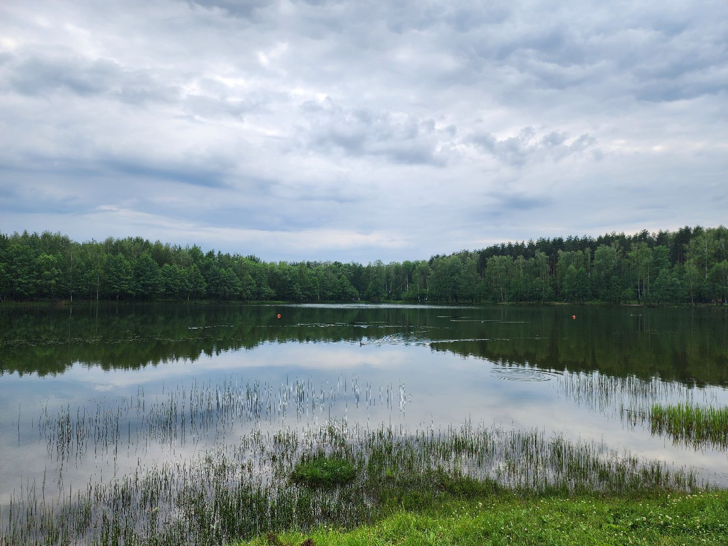 электросталь, день россии, праздник, парк, жители, общество,