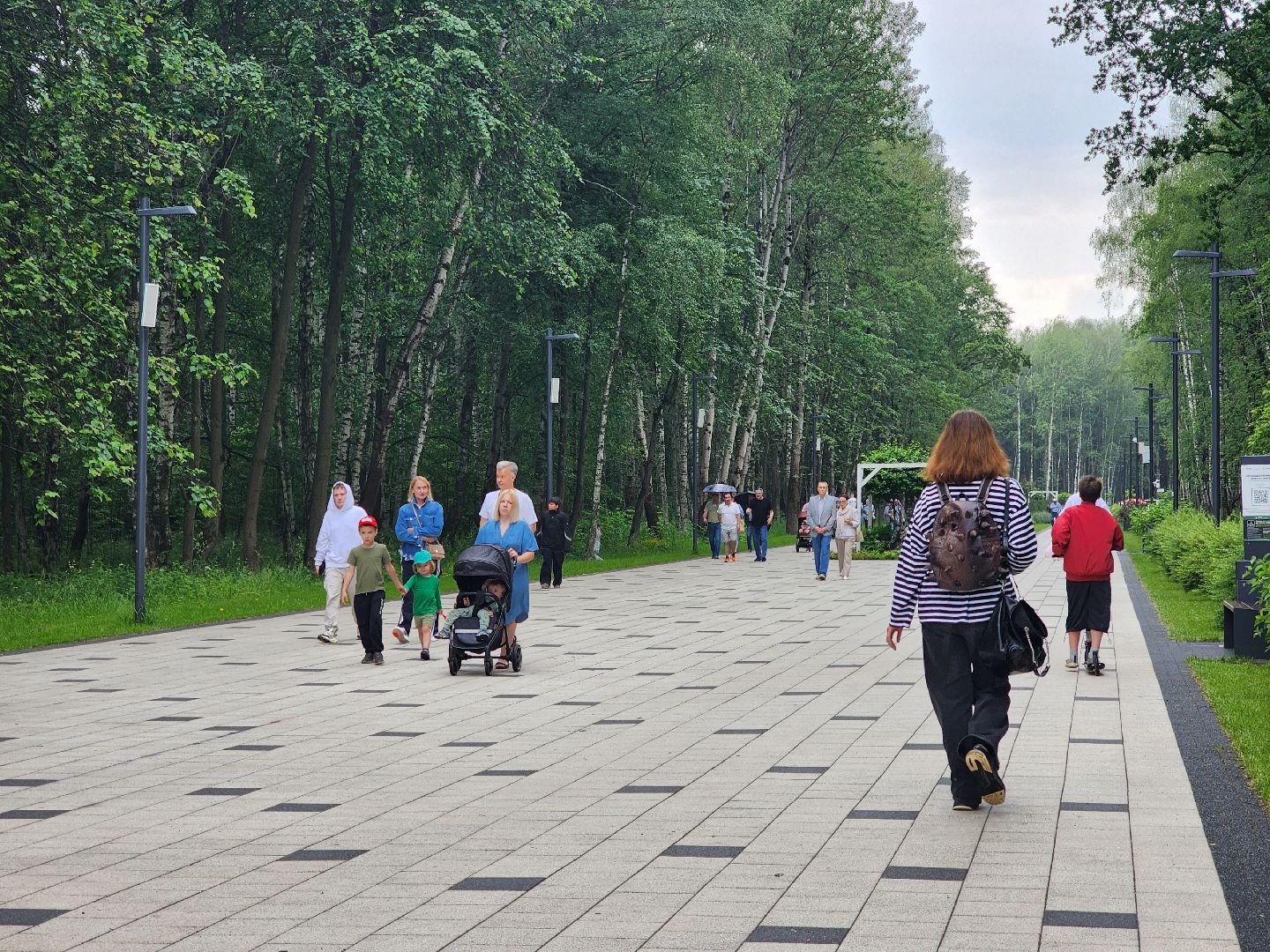 электросталь, день россии, праздник, парк, жители, общество,