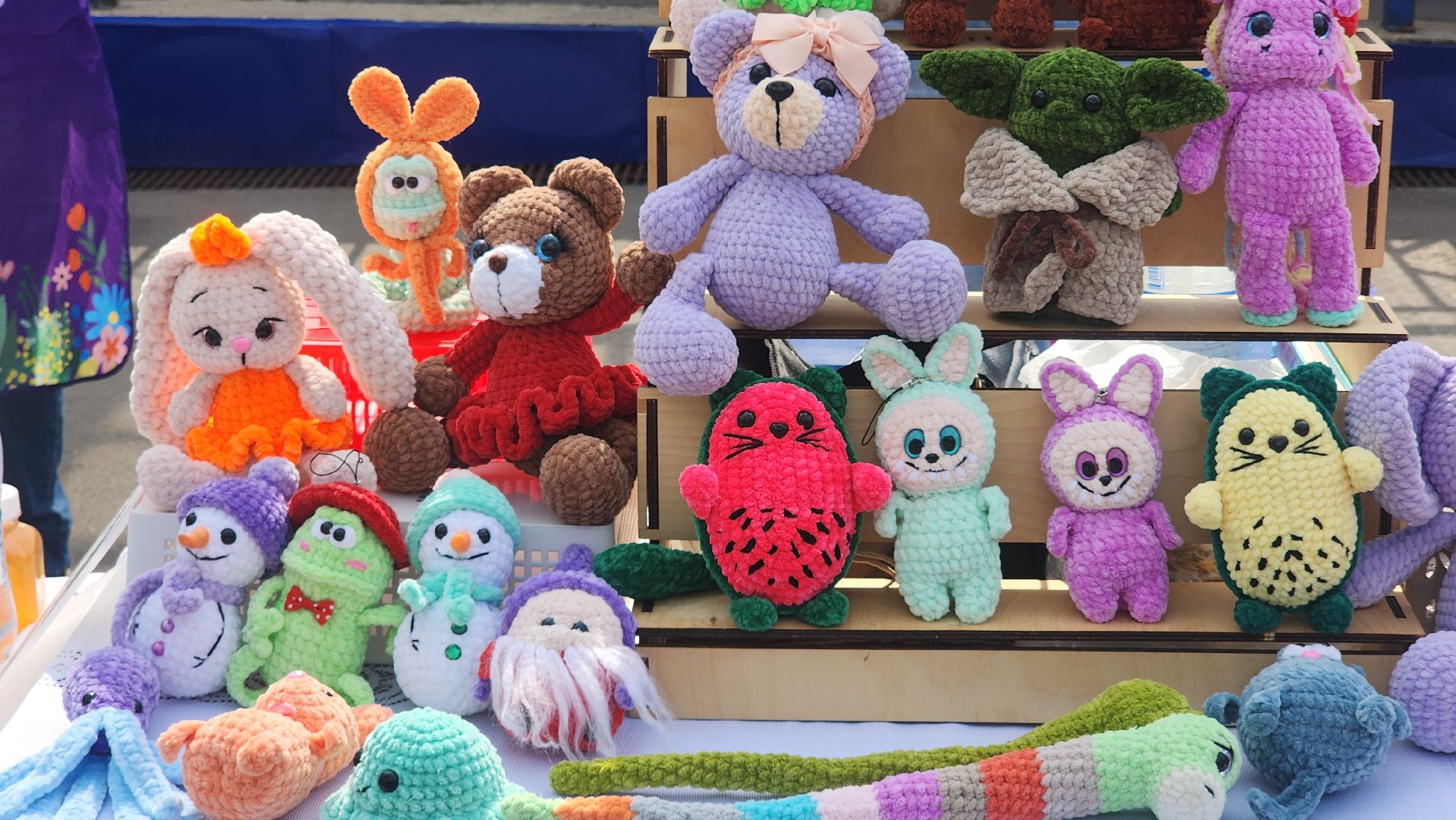 Общество , Акция, Выставка кошек и собак ,