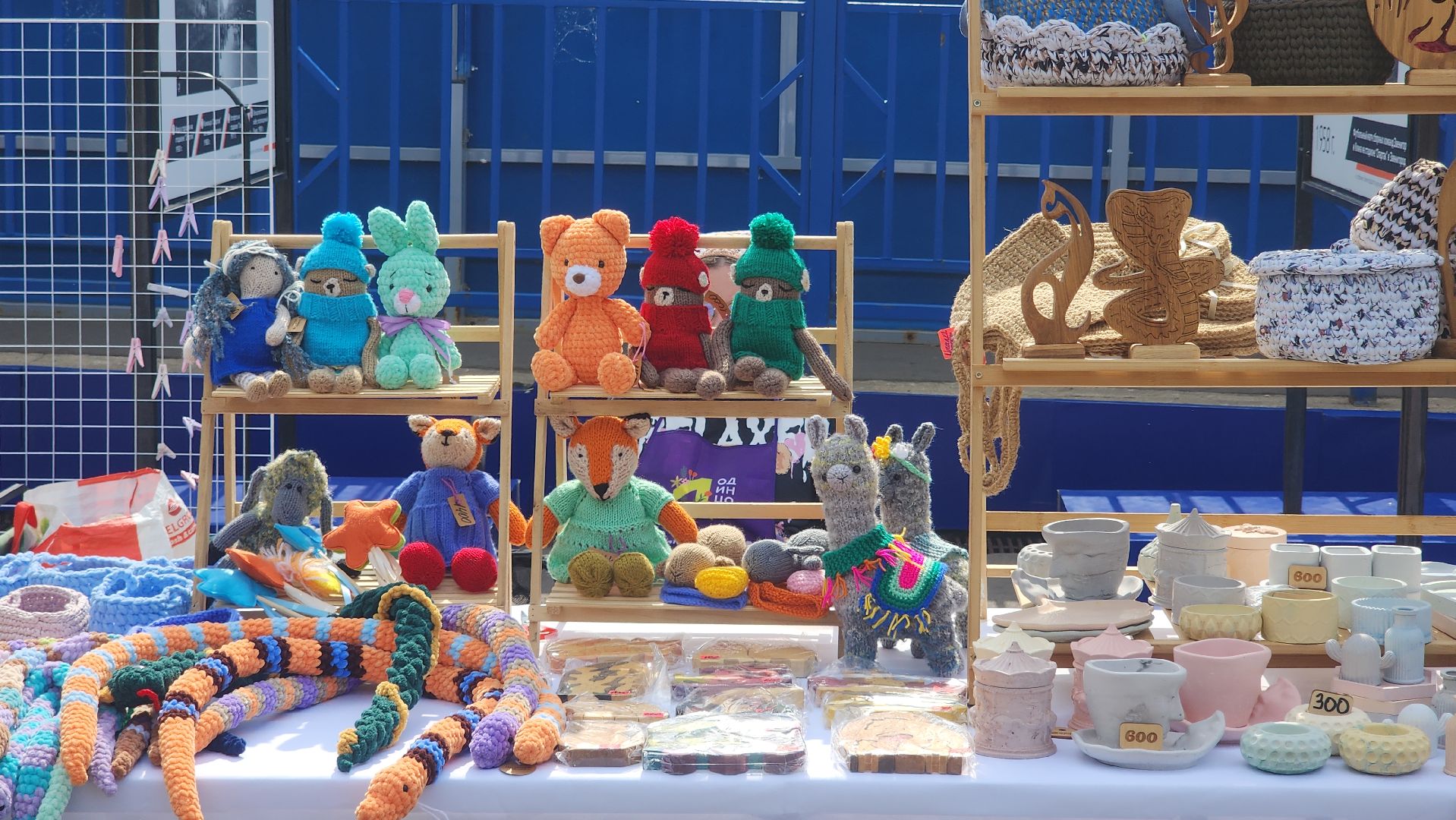 Общество , Акция, Выставка кошек и собак ,