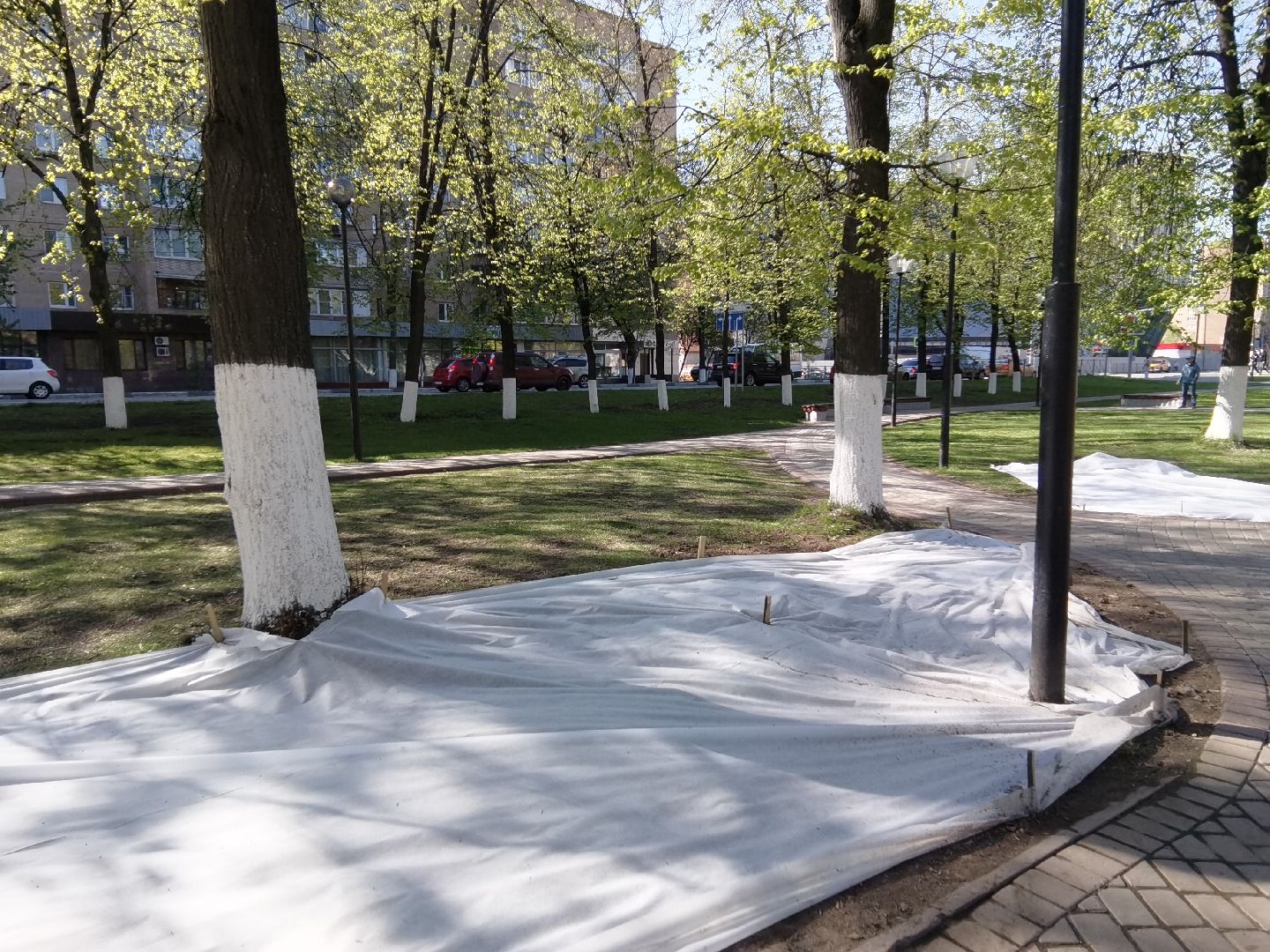 Балашиха, благоустройство, газоны, цветы, растения, сквер имени Ленина, бульвар Нестерова, 60 лет Октября