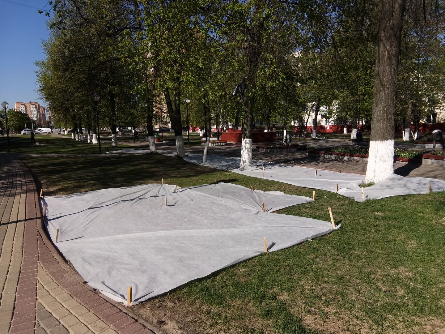 Балашиха, благоустройство, газоны, цветы, растения, сквер имени Ленина, бульвар Нестерова, 60 лет Октября