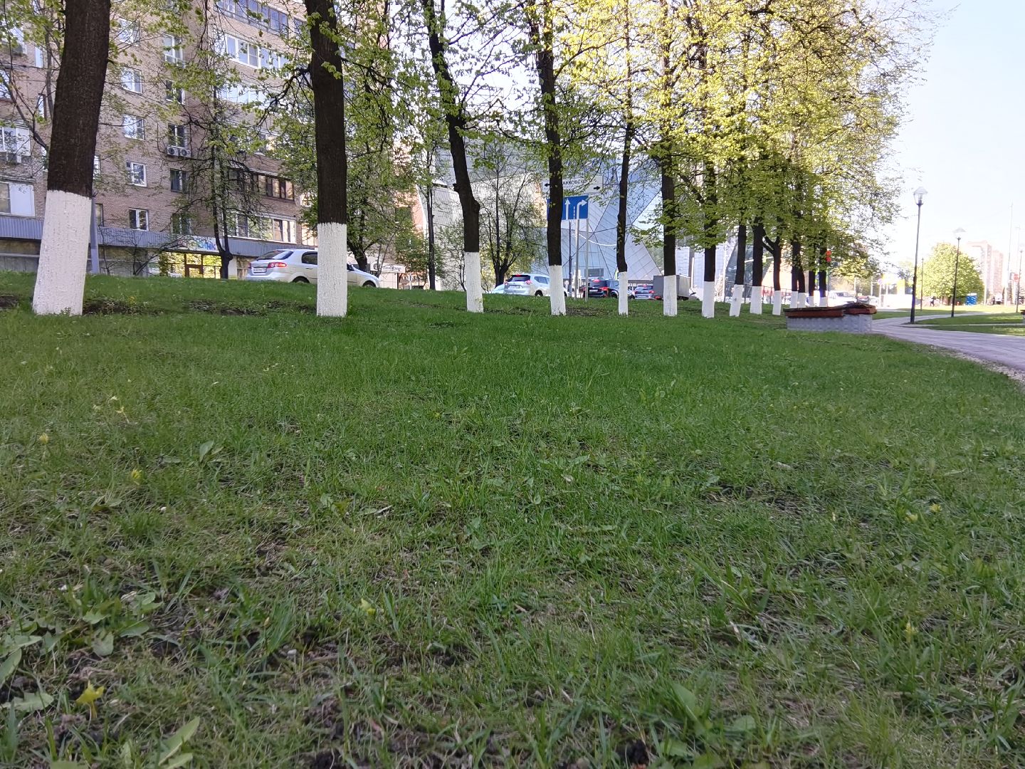 Балашиха, благоустройство, газоны, цветы, растения, сквер имени Ленина, бульвар Нестерова, 60 лет Октября