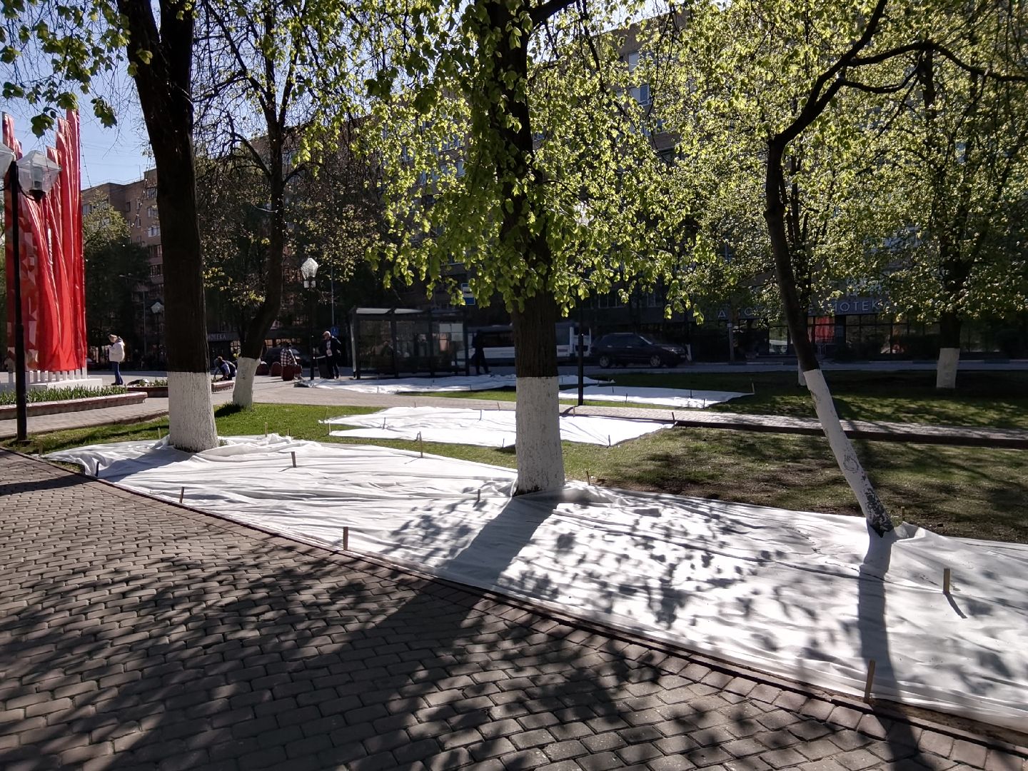 Балашиха, благоустройство, газоны, цветы, растения, сквер имени Ленина, бульвар Нестерова, 60 лет Октября