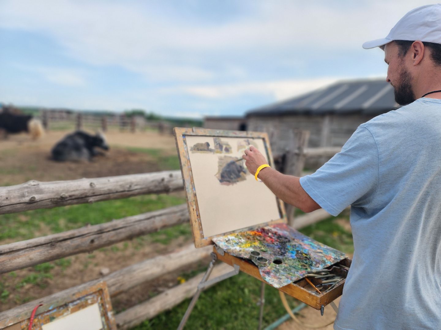 сергиево-посадский городской округ, абрамцевский колледж, колледж абрамцево, пленэр, студенты абрамцевского колледжа,кочевник, верблюжья ферма,