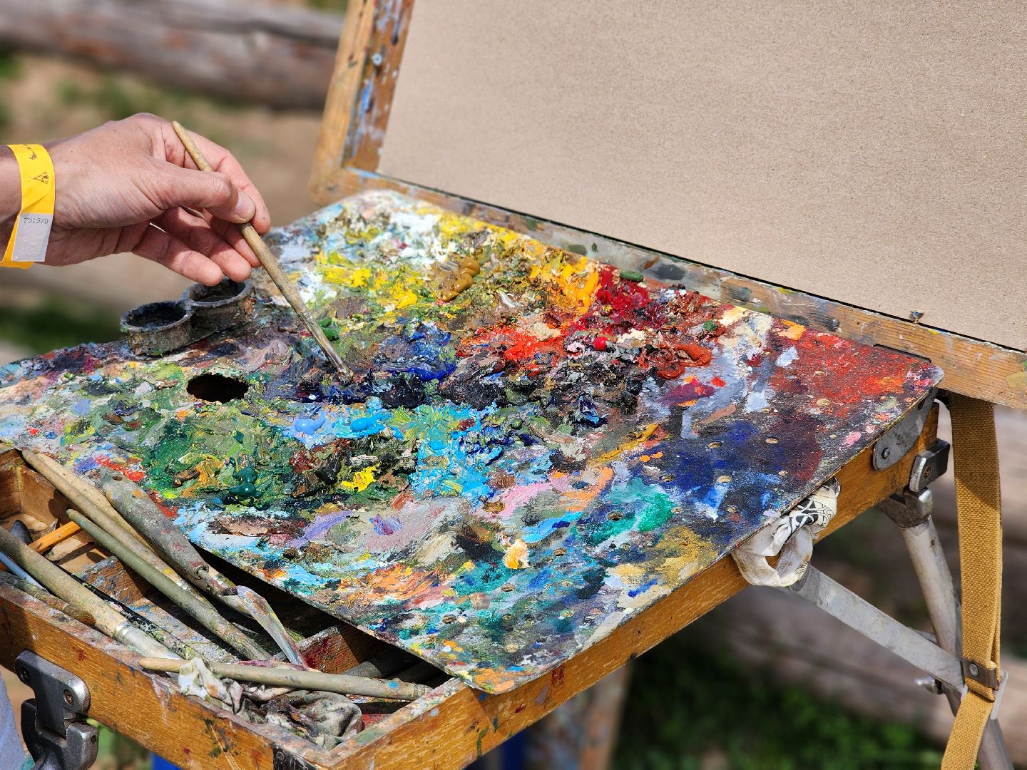 сергиево-посадский городской округ, абрамцевский колледж, колледж абрамцево, пленэр, студенты абрамцевского колледжа,кочевник, верблюжья ферма,