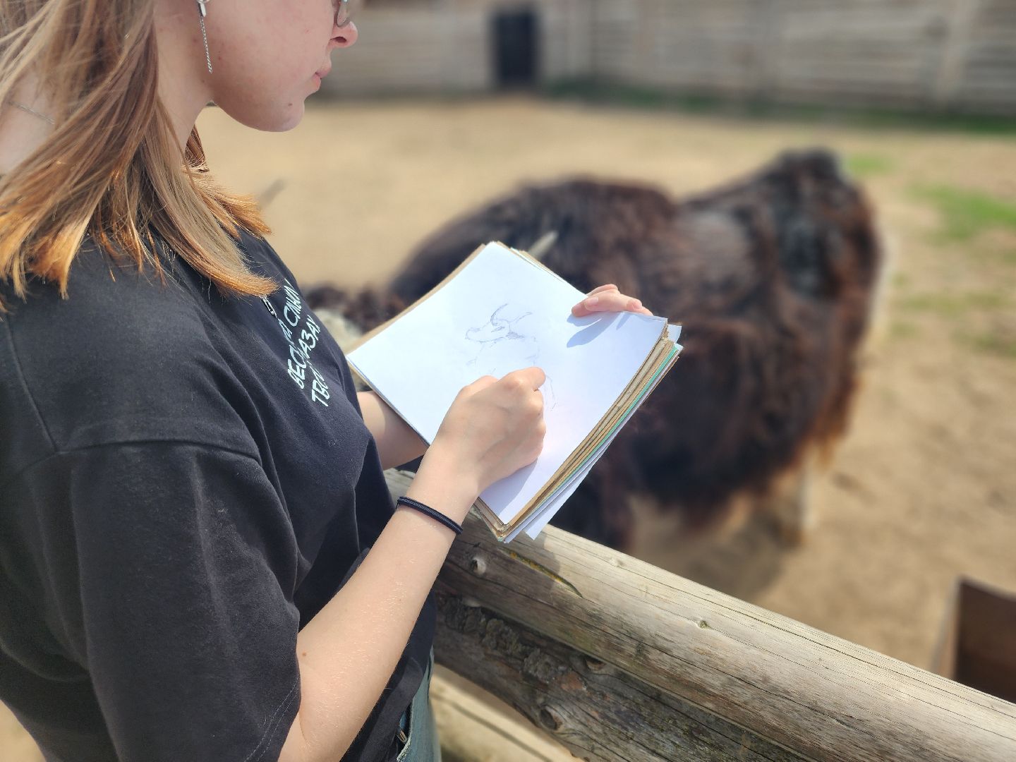 сергиево-посадский городской округ, абрамцевский колледж, колледж абрамцево, пленэр, студенты абрамцевского колледжа,кочевник, верблюжья ферма,