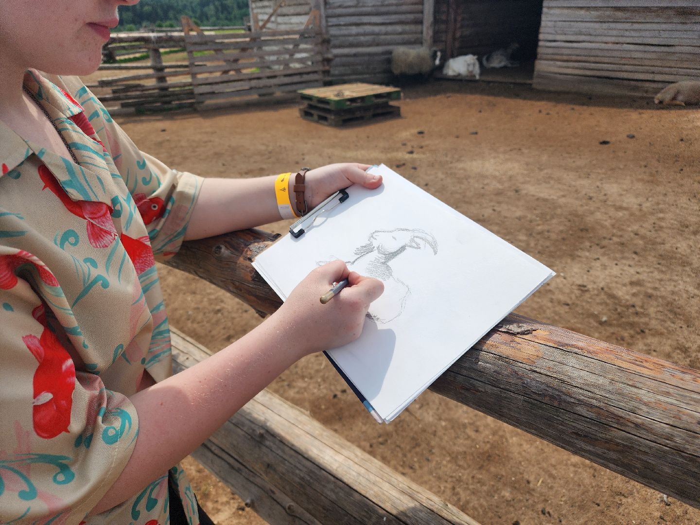 сергиево-посадский городской округ, абрамцевский колледж, колледж абрамцево, пленэр, студенты абрамцевского колледжа,кочевник, верблюжья ферма,