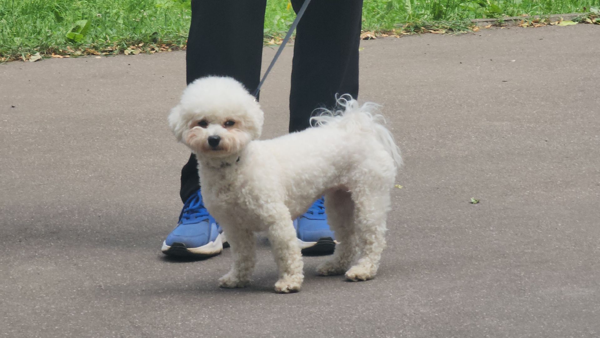 выставка детских рисунков, день россии, щёлково, фряново,