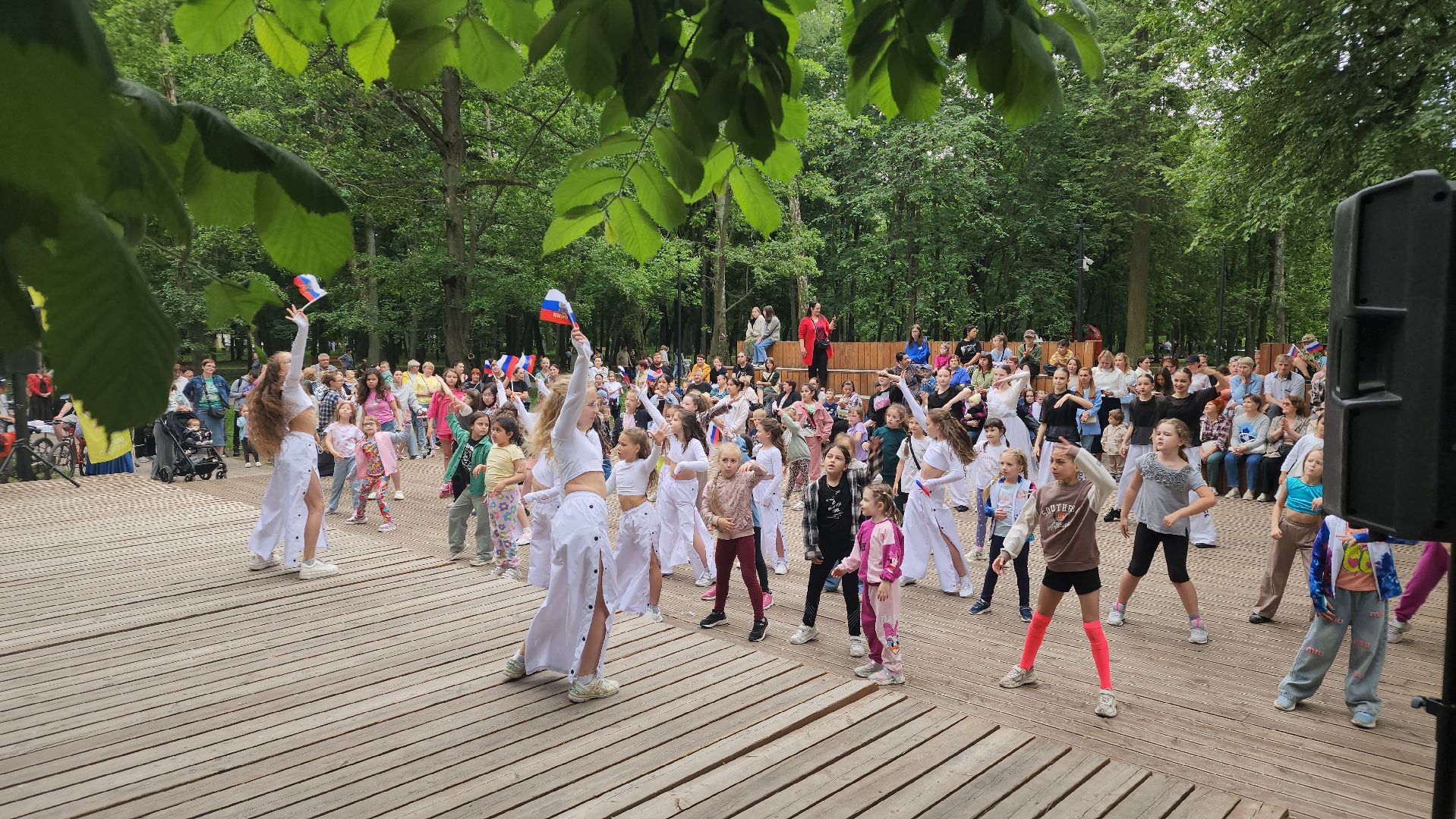 день россии, праздник, парк, лосино-петровский,