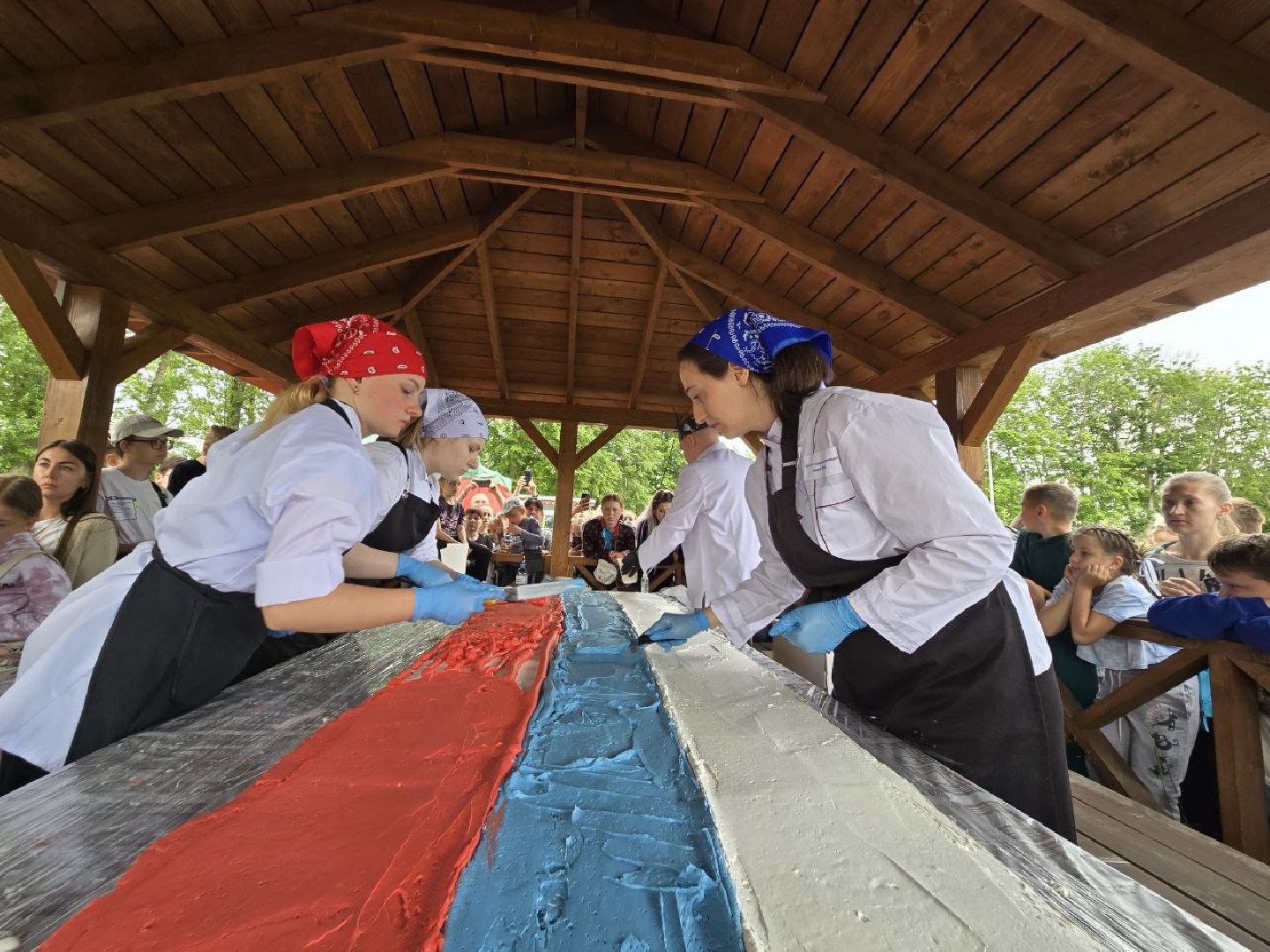 можайск, можайский муниципальный округ, подмосковье, день россии, торт, десерт под открытым небом, Александр Богачев,