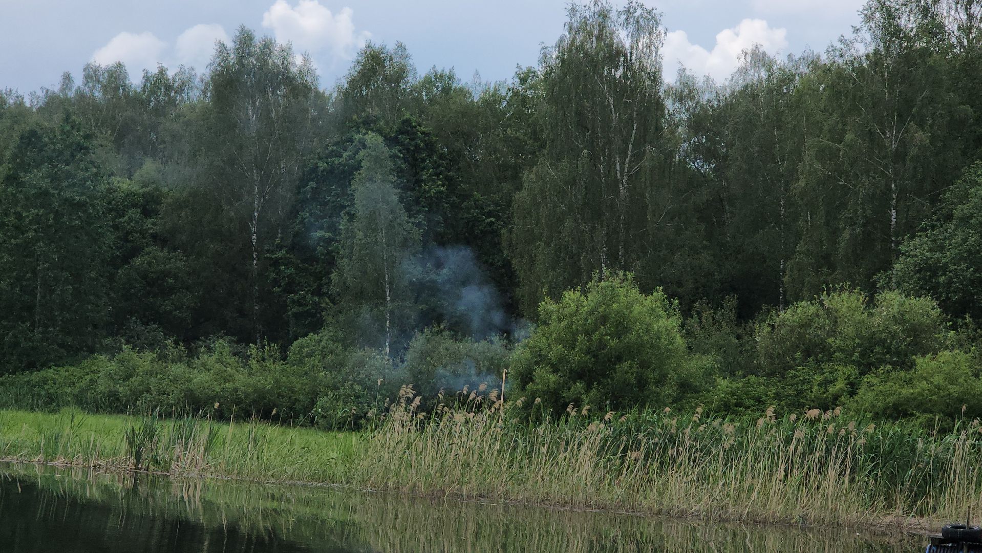 Истра, Водохранилище, Рейд, профилактический рейд, пожарная безопасность,мчс россии,