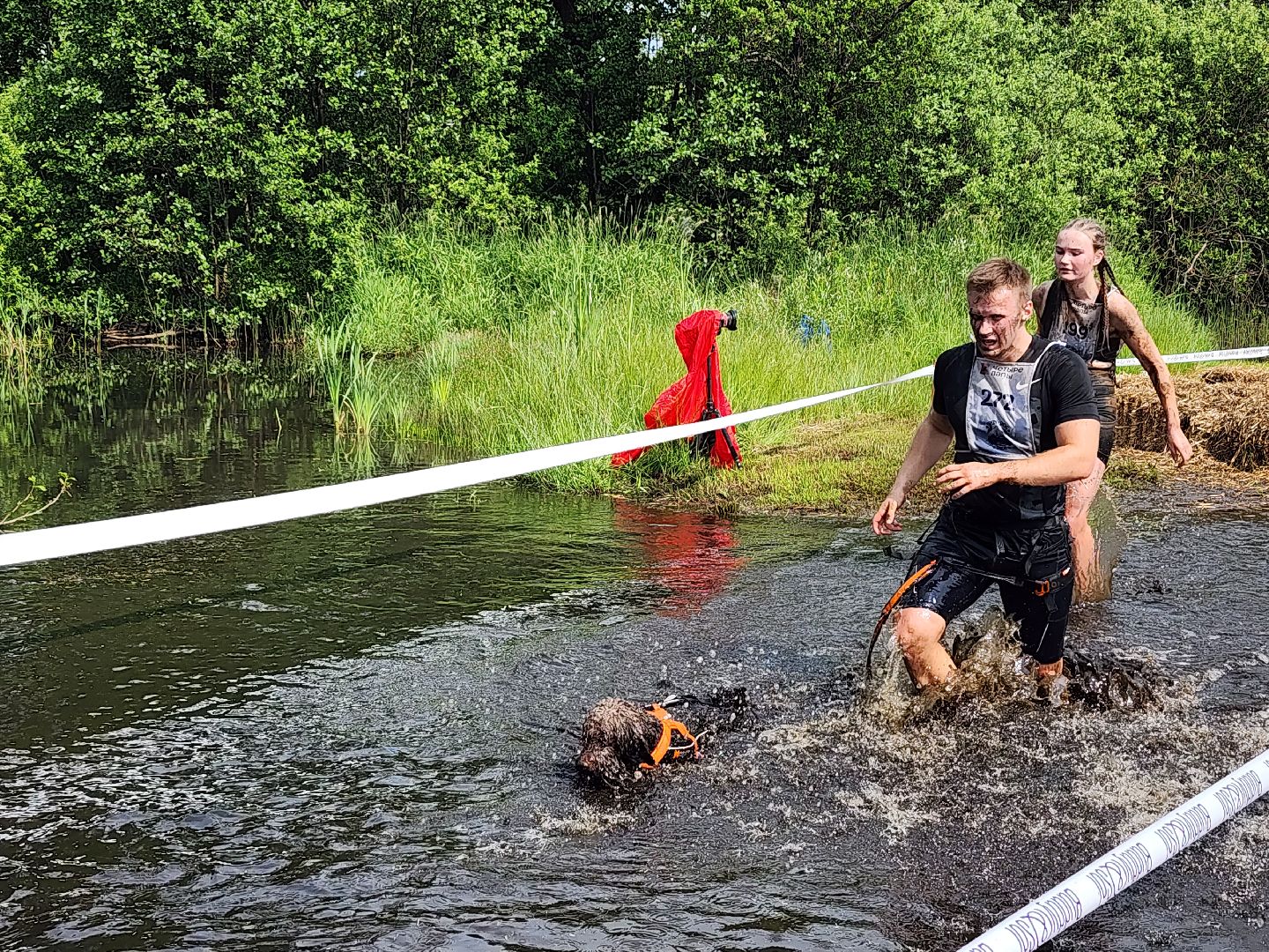 забег с собаками, crazy dog race,  хвостатый драйв, старая купавна, богородский городской округ,