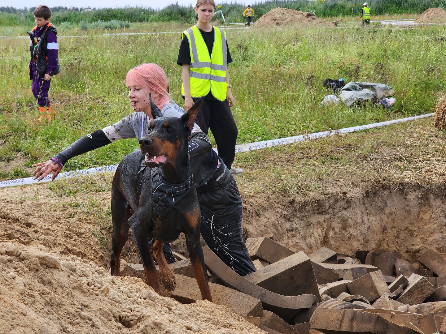 забег с собаками, crazy dog race,  хвостатый драйв, старая купавна, богородский городской округ,
