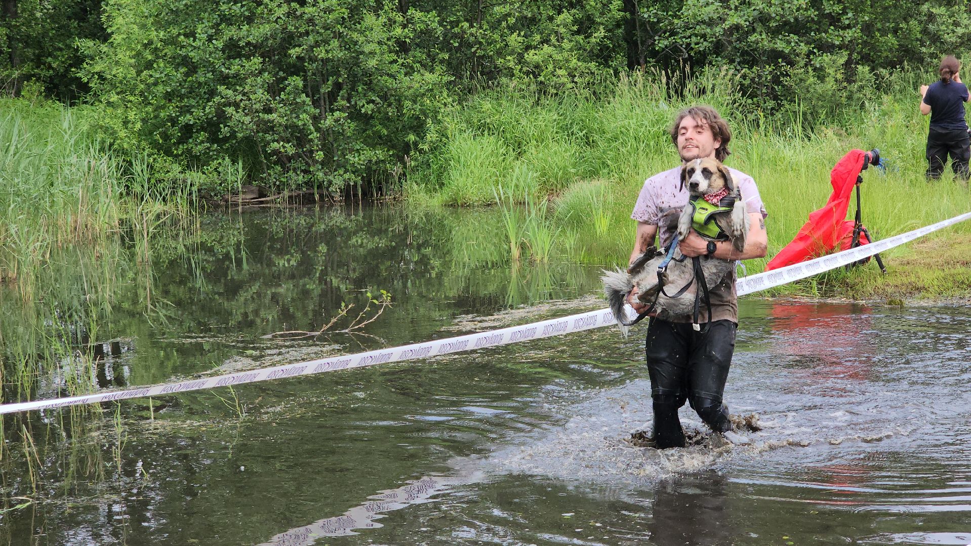 забег с собаками, crazy dog race,  хвостатый драйв, старая купавна, богородский городской округ,