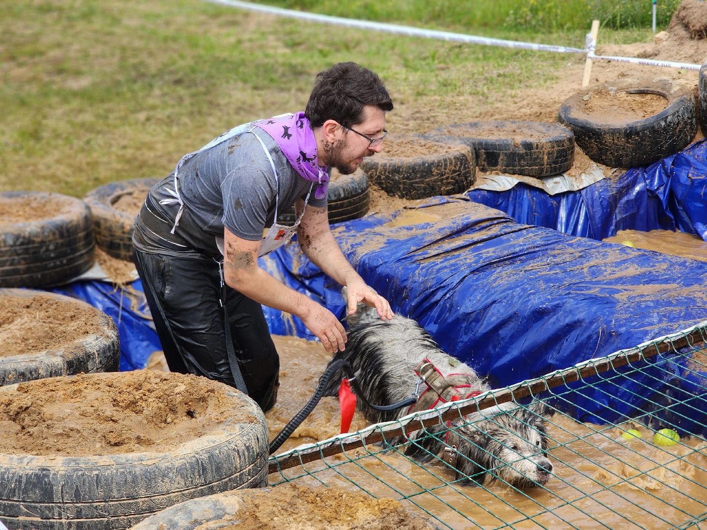 забег с собаками, crazy dog race,  хвостатый драйв, старая купавна, богородский городской округ,