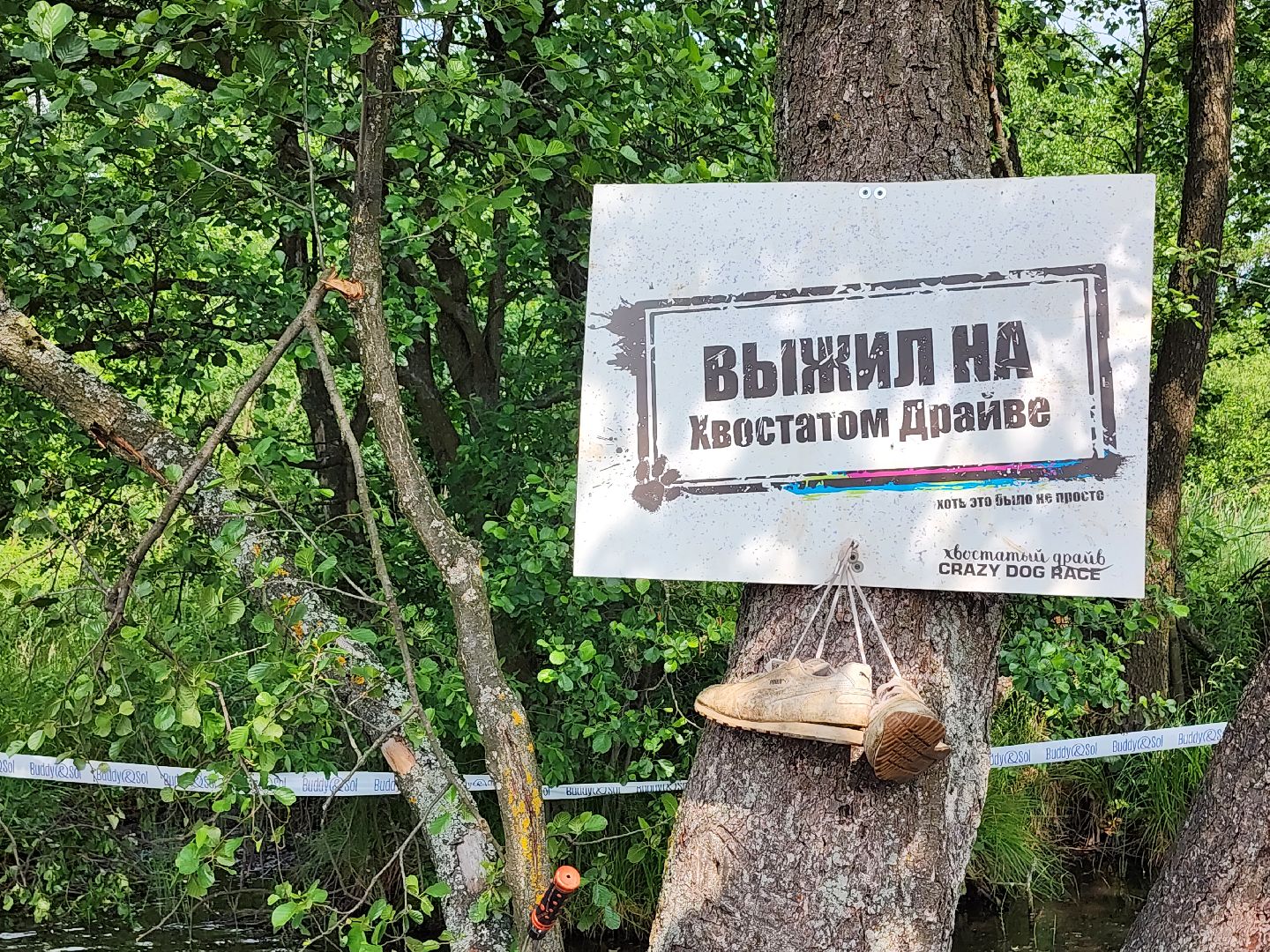 забег с собаками, crazy dog race,  хвостатый драйв, старая купавна, богородский городской округ,