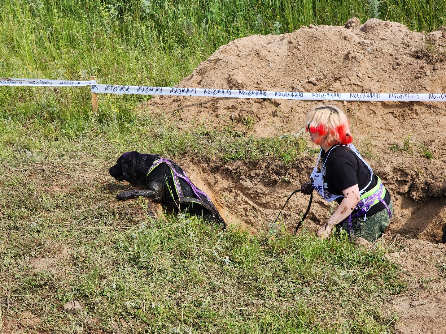 забег с собаками, crazy dog race,  хвостатый драйв, старая купавна, богородский городской округ,
