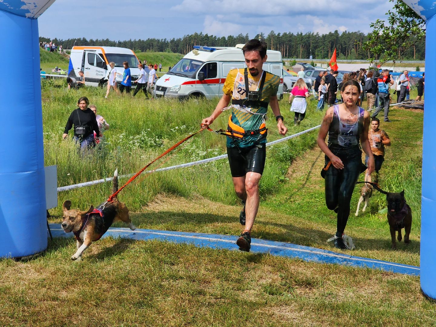 забег с собаками, crazy dog race,  хвостатый драйв, старая купавна, богородский городской округ,