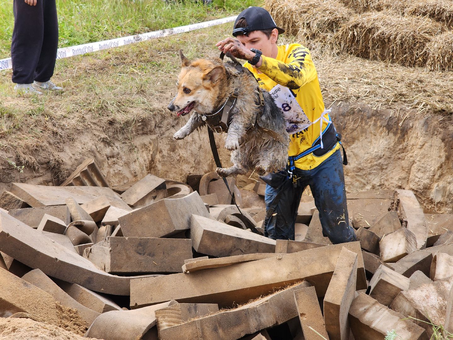 забег с собаками, crazy dog race,  хвостатый драйв, старая купавна, богородский городской округ,