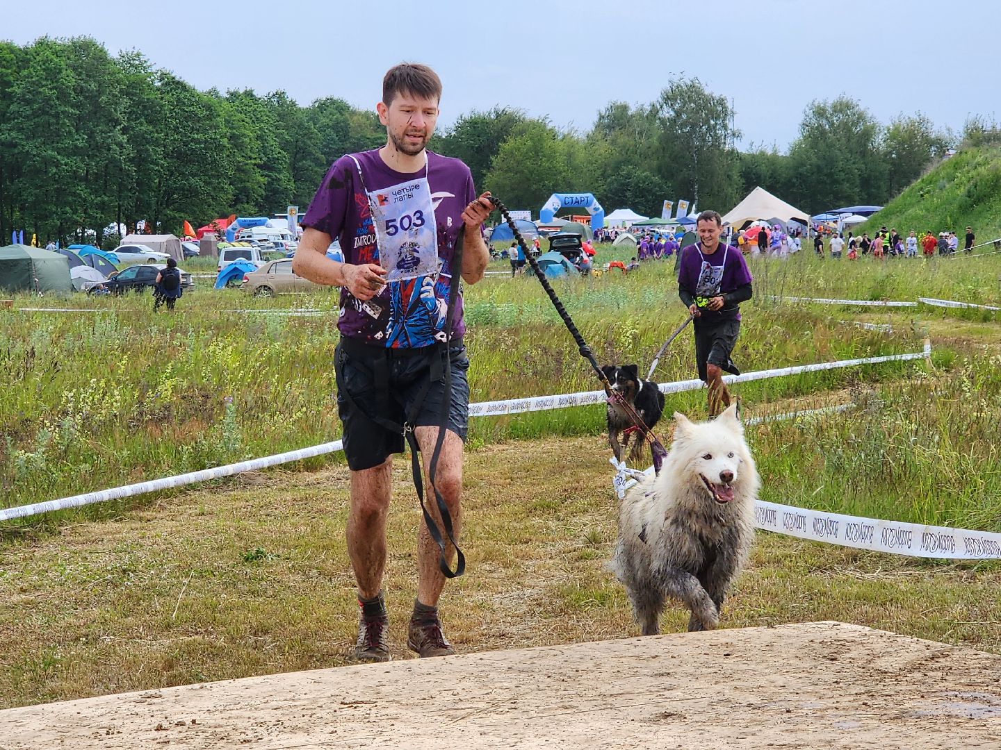 экстремальный забег с собаками, crazy dog race, хвостатый драйв, старая купавна, богородский городской округ,
