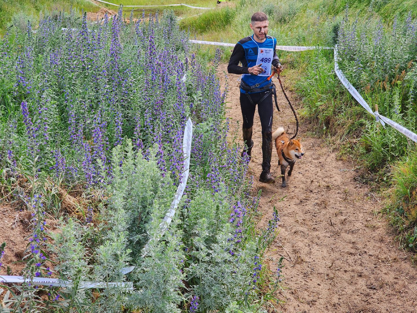 экстремальный забег с собаками, crazy dog race, хвостатый драйв, старая купавна, богородский городской округ,