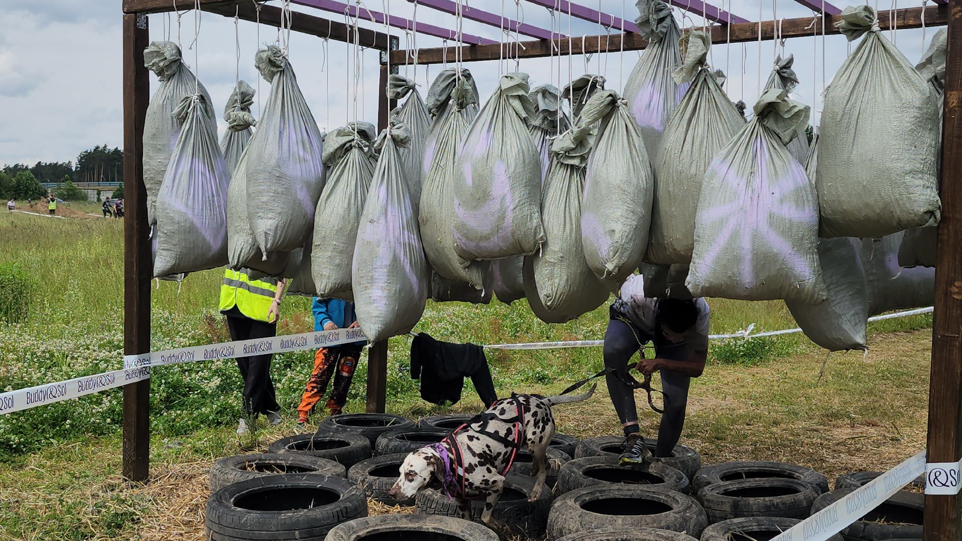 экстремальный забег с собаками, crazy dog race, хвостатый драйв, старая купавна, богородский городской округ,