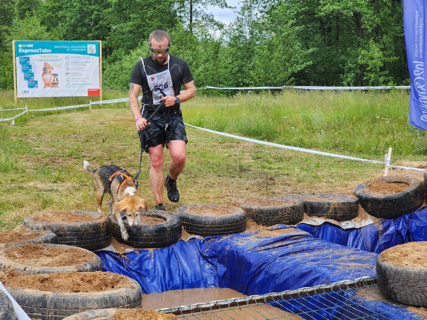 экстремальный забег с собаками, crazy dog race, хвостатый драйв, старая купавна, богородский городской округ,