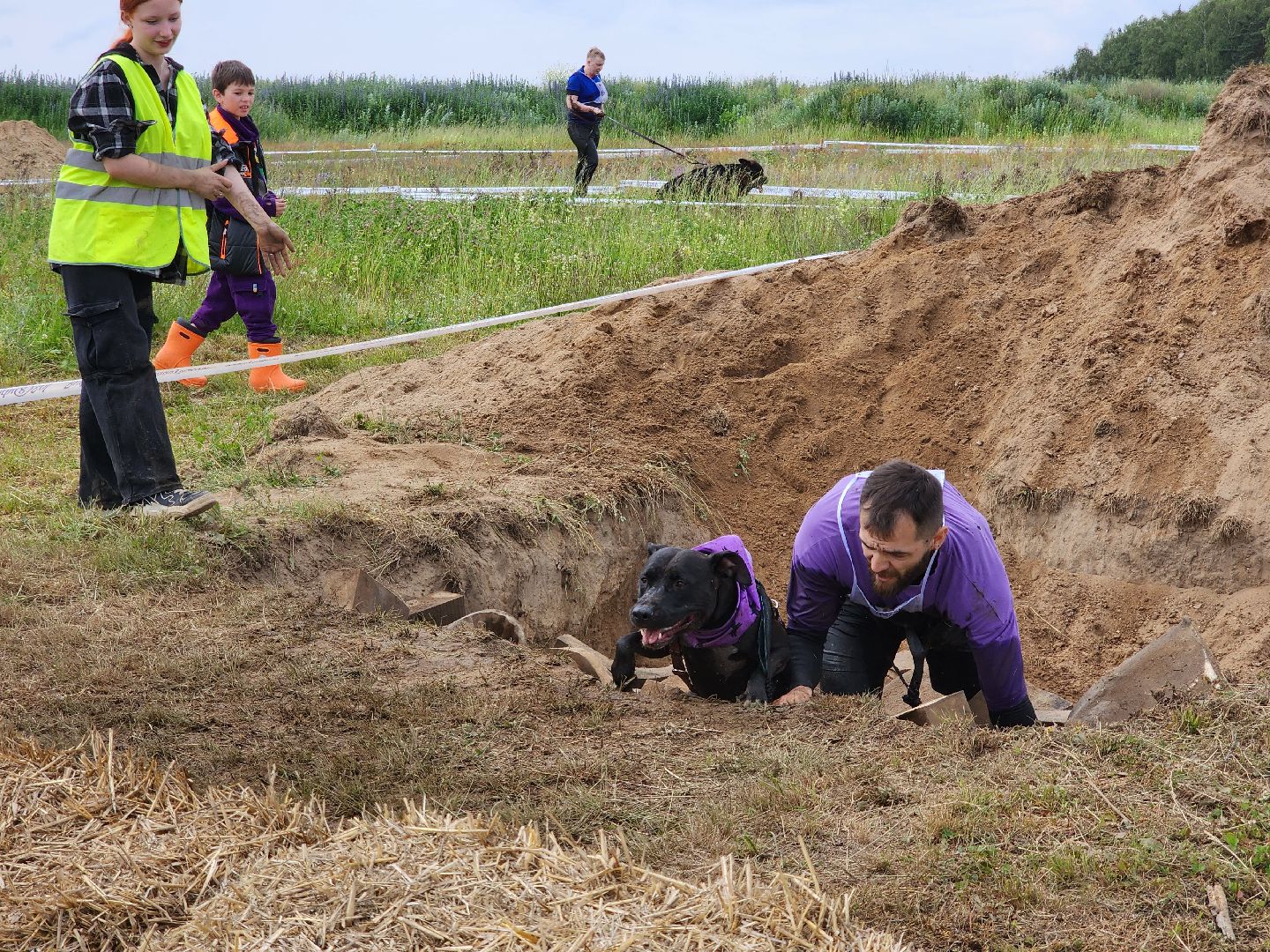экстремальный забег с собаками, crazy dog race, хвостатый драйв, старая купавна, богородский городской округ,