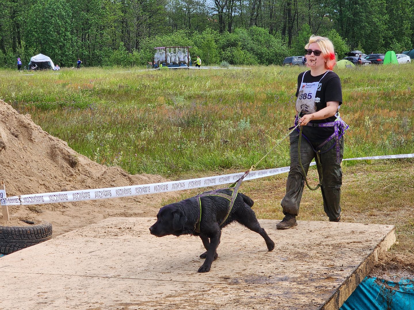 экстремальный забег с собаками, crazy dog race, хвостатый драйв, старая купавна, богородский городской округ,