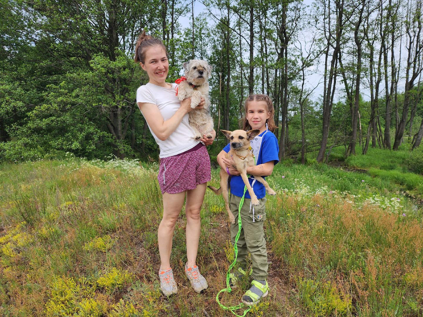 экстремальный забег с собаками, crazy dog race, хвостатый драйв, старая купавна, богородский городской округ,