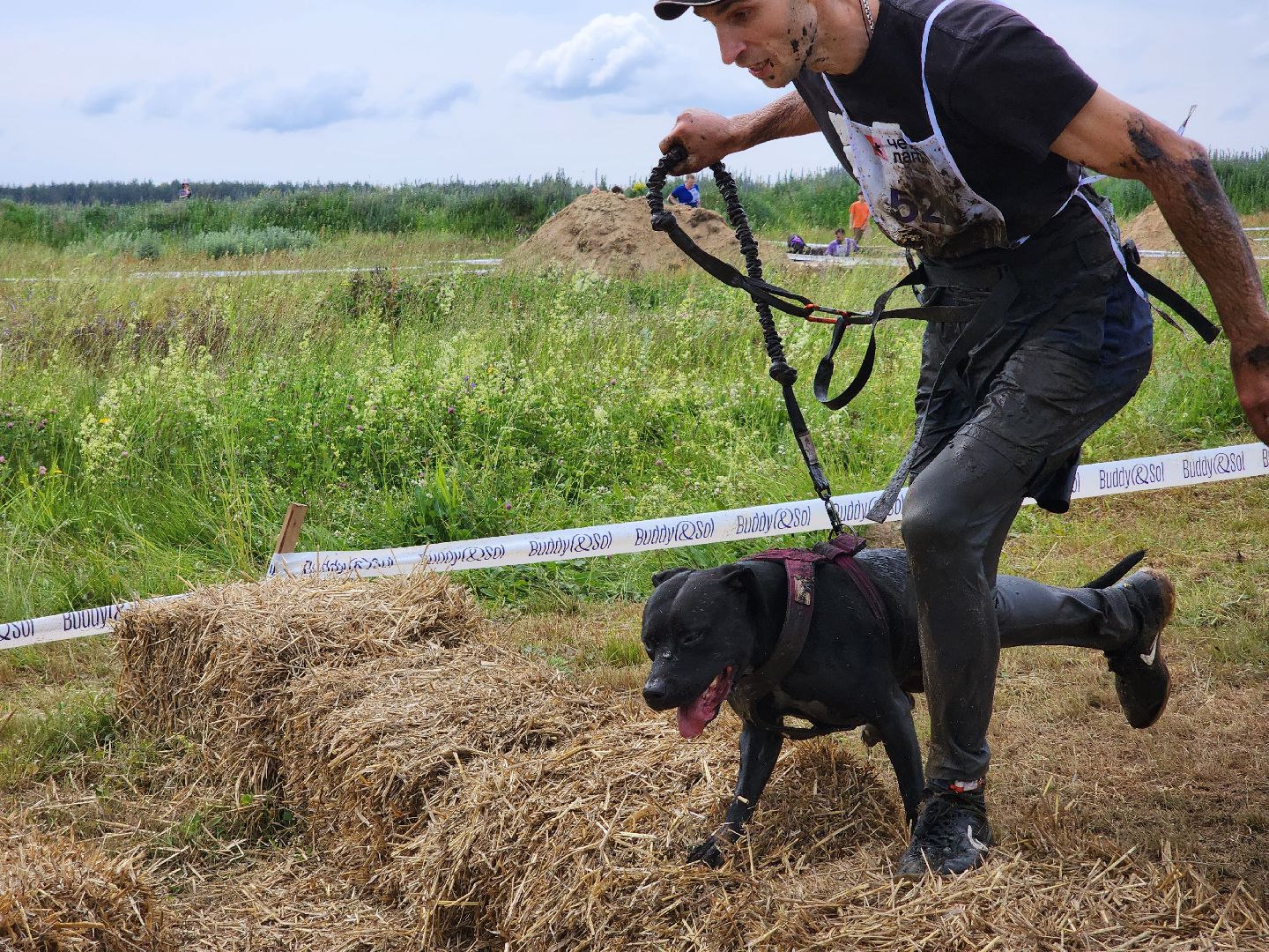 экстремальный забег с собаками, crazy dog race, хвостатый драйв, старая купавна, богородский городской округ,