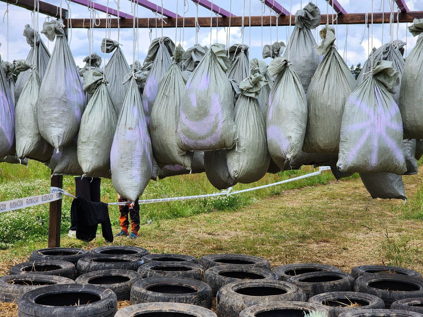 экстремальный забег с собаками, crazy dog race, хвостатый драйв, старая купавна, богородский городской округ,