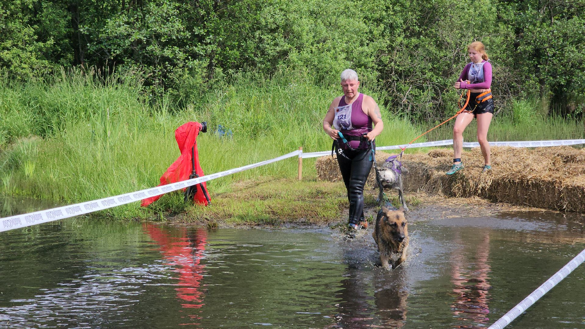 экстремальный забег с собаками, crazy dog race, хвостатый драйв, старая купавна, богородский городской округ,