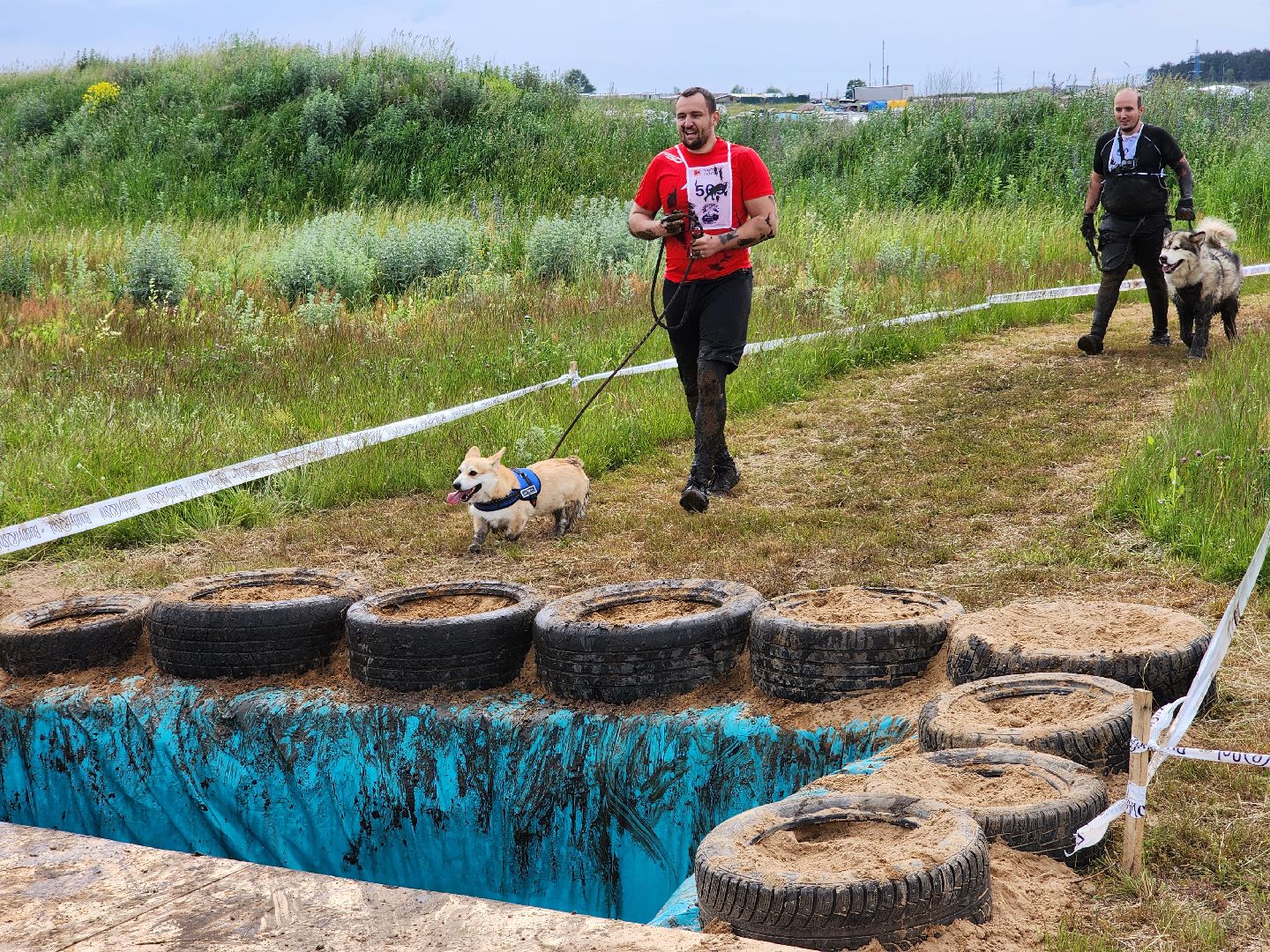 экстремальный забег с собаками, crazy dog race, хвостатый драйв, старая купавна, богородский городской округ,