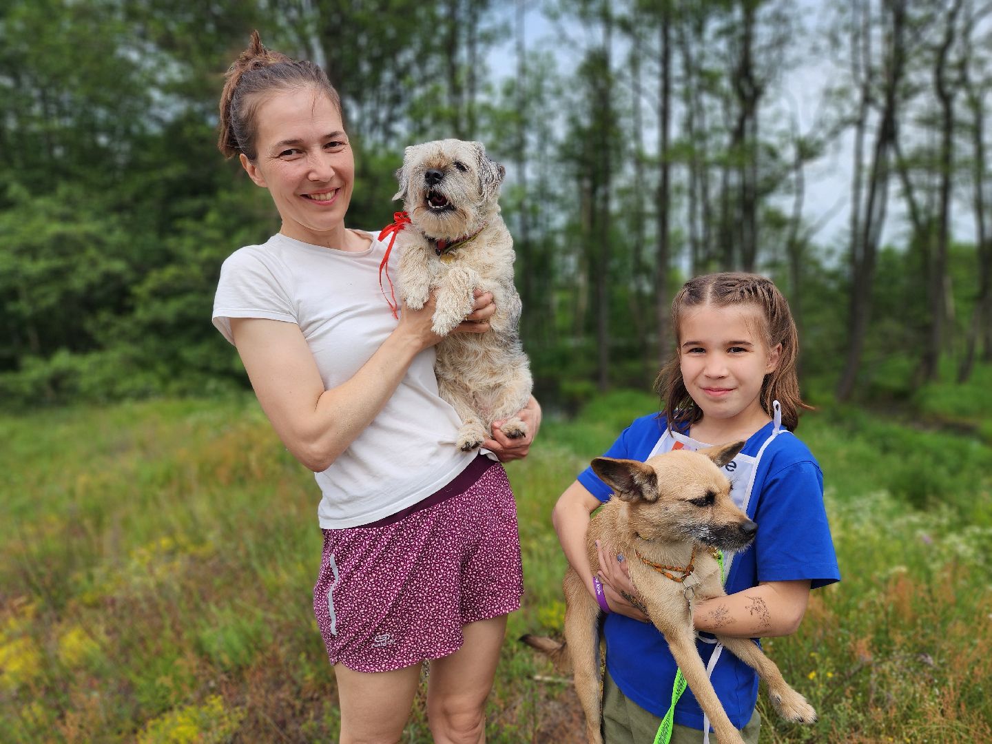 экстремальный забег с собаками, crazy dog race, хвостатый драйв, старая купавна, богородский городской округ,