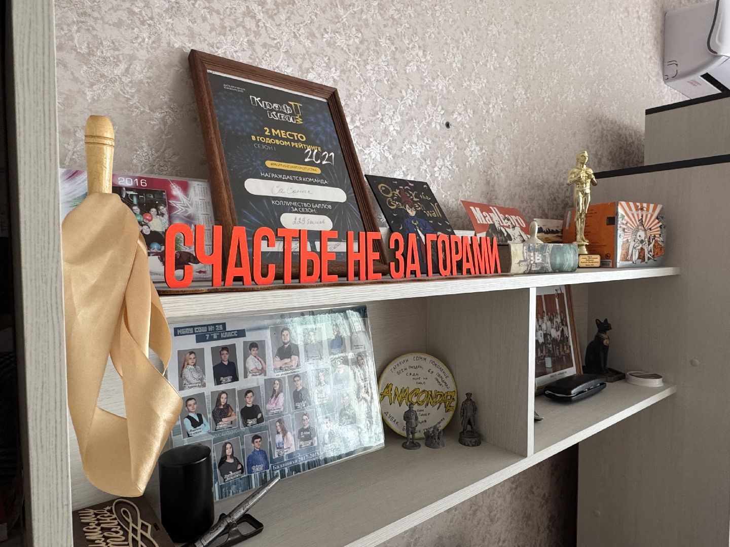 балашиха, соципотека,Алексей Бобылев, трубецкая улица,