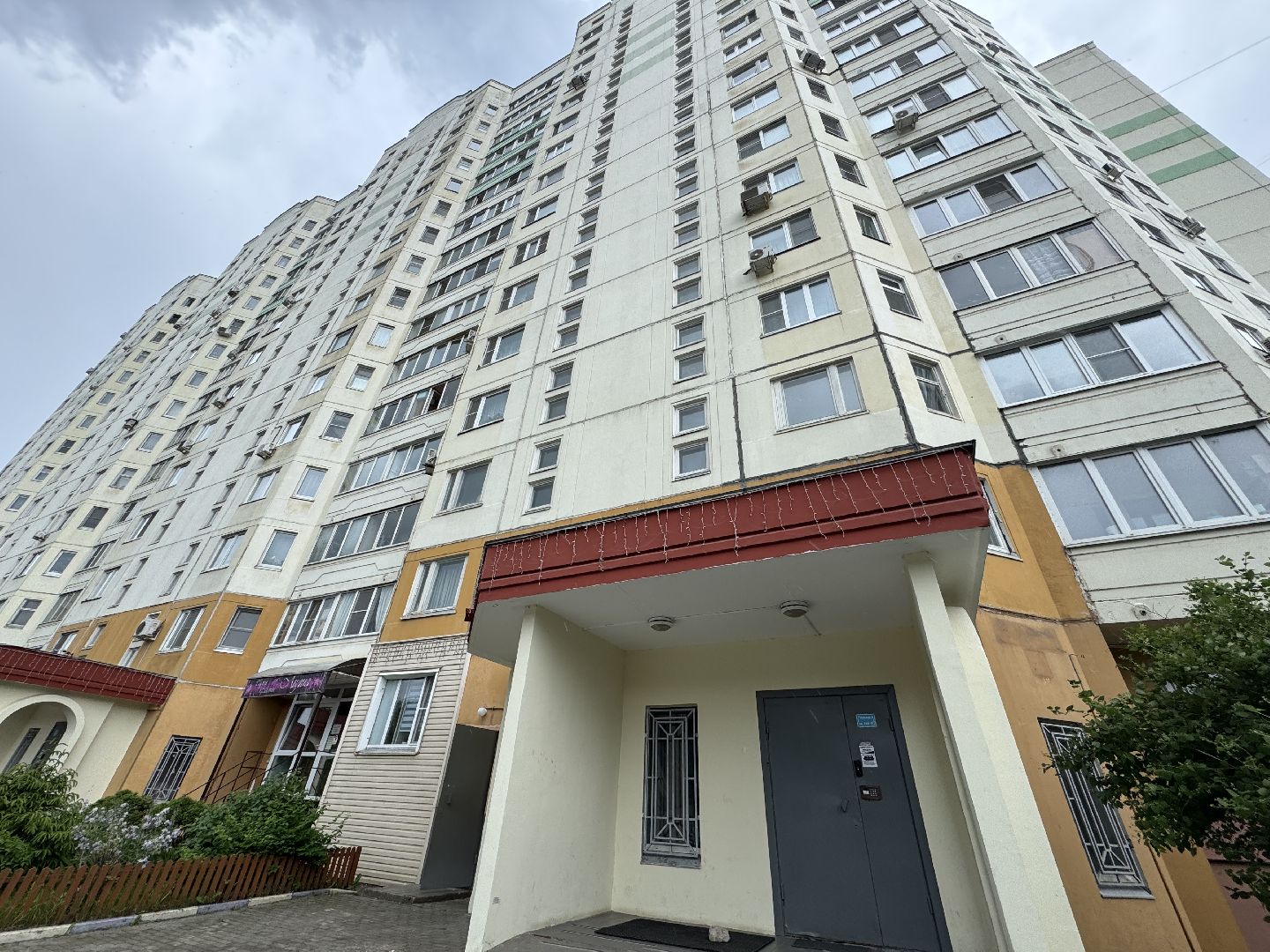 балашиха, соципотека,Алексей Бобылев, трубецкая улица,